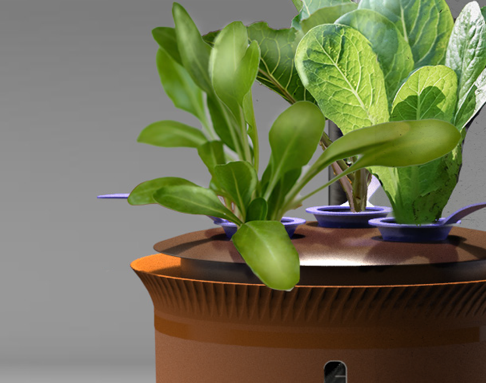 Hachi Hydroponic Gardening System Render