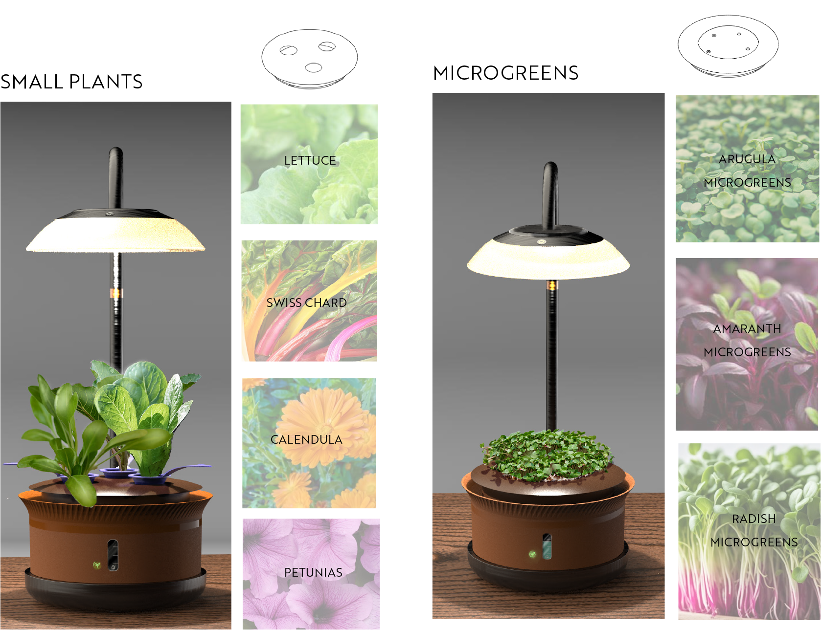 Final design with small plants and microgreens