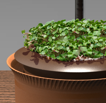 Hachi project thumbnail