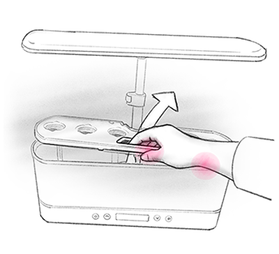 fingers pinching a small plant